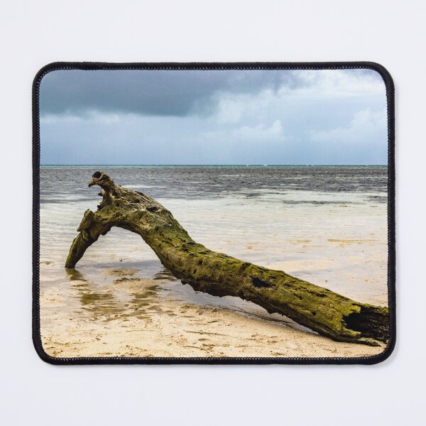Item preview, Log On The Beach designed and sold by Justin Mckinney.