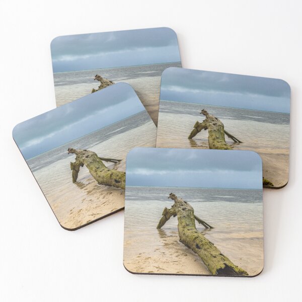 Item preview, Log On Beach Portrait designed and sold by Justin Mckinney.