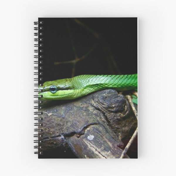 Item preview, Resting Snake designed and sold by csenior.