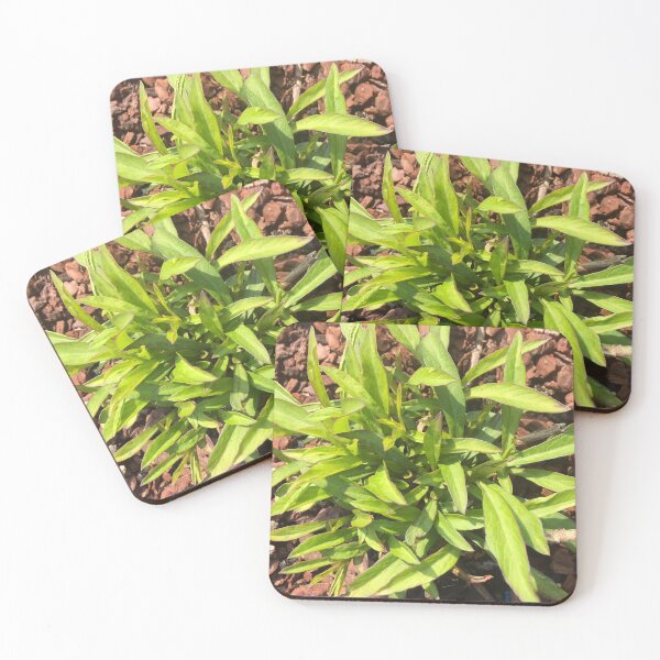Item preview, Awaiting Chocolate Blooms designed and sold by JuleZ54.