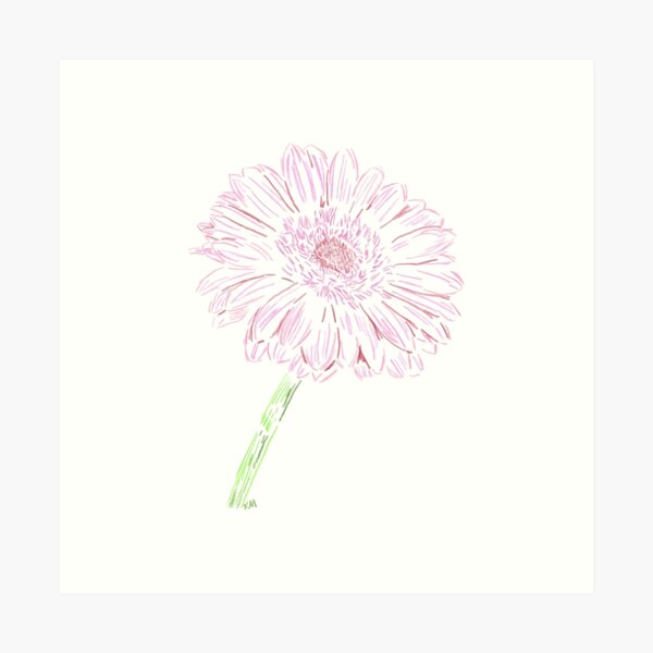 2022 04 flowers 02 gerbera daisy  Art Print