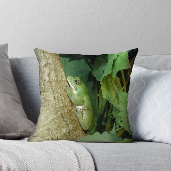 Item preview, Mexican Leaf Frog designed and sold by Luck of the Shutter.