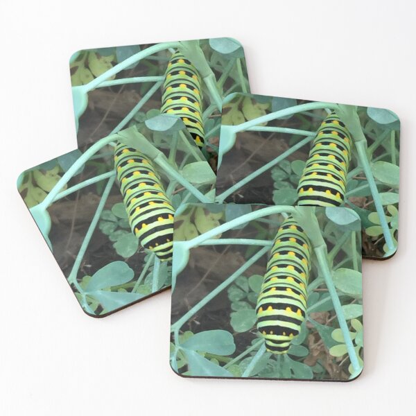 Item preview, Grow Forth, Little Caterpillars  designed and sold by Aimee Gramblin.