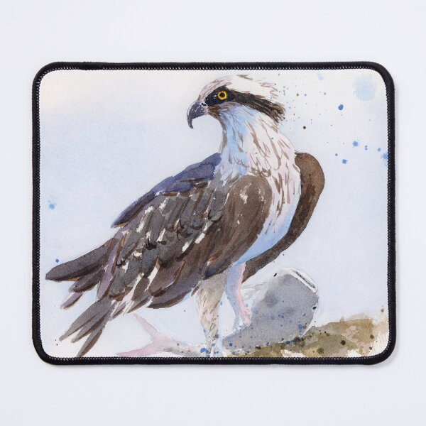 Item preview, Florida Osprey with Fish designed and sold by WaterStrokesArt.