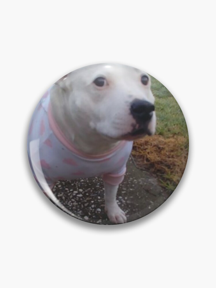  All Night Apparel Emoji Hard Enamel Pin Pleading Begging Puppy  Dog Face Meme : Clothing, Shoes & Jewelry