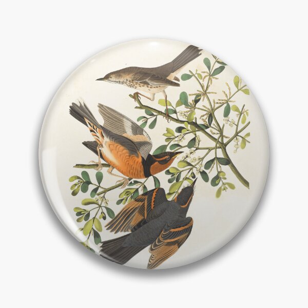 Item preview, Mountain mocking bird,Varied thrush, male & female,Orpheus montanus designed and sold by linggalibrary.