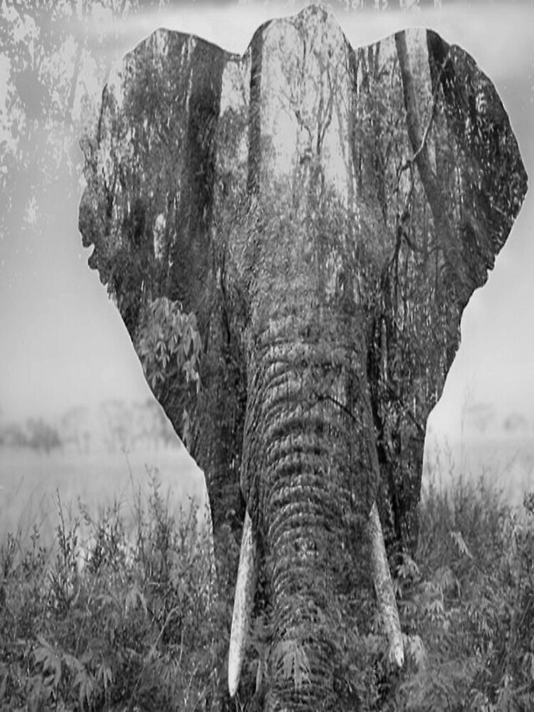 "The Elephant in the room" Poster for Sale by AloshaArts Redbubble