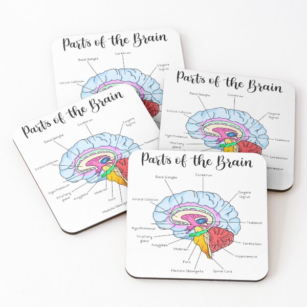 Item preview, Parts of the brain  designed and sold by Katlligraphy.