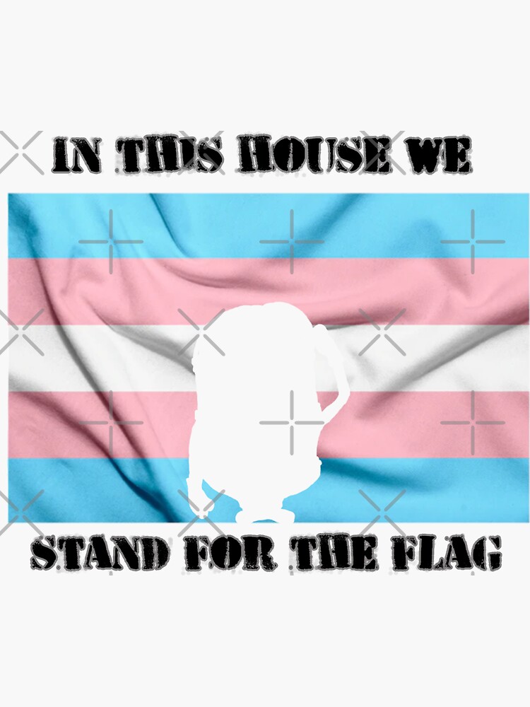 "We stand for the (trans pride) flag" Sticker for Sale by Mirndanda
