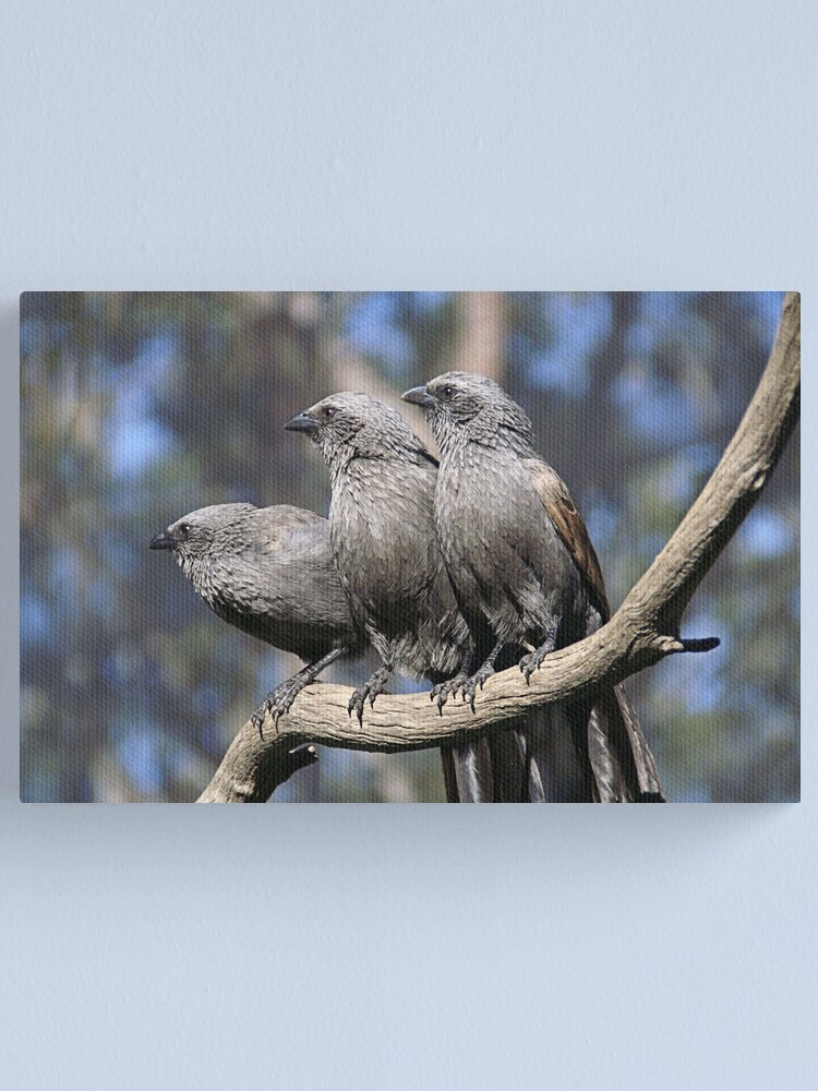 Alternate view of the three apostles ... Canvas Print