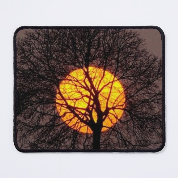 Item preview, Tree in setting sun designed and sold by tees-n-treats.