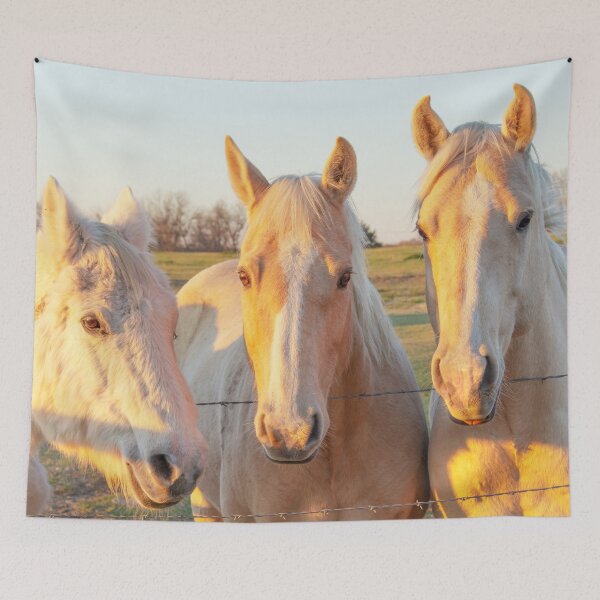 Item preview, Horses saying hello~ designed and sold by KateJaxxon.