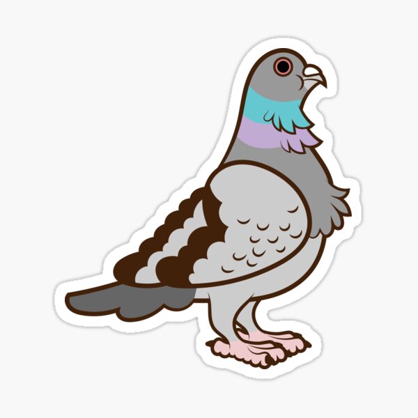 Pigeon Pattern Sticker