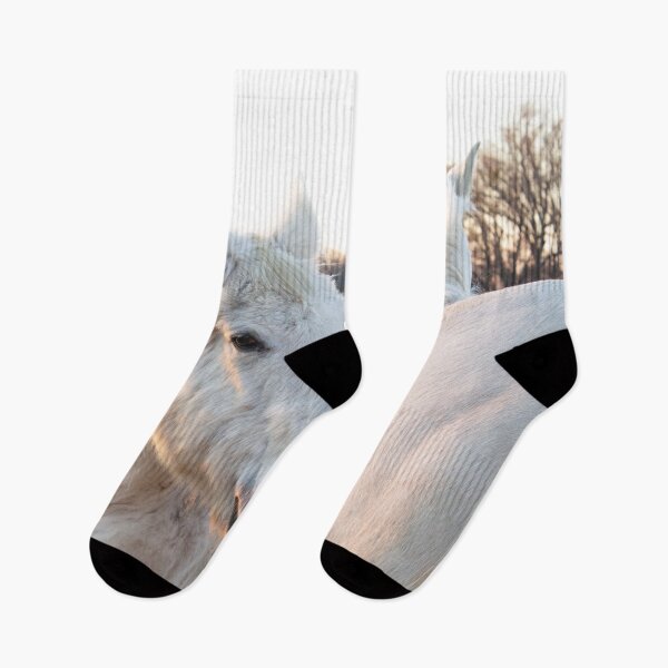 Item preview, Horses saying hello~ designed and sold by KateJaxxon.