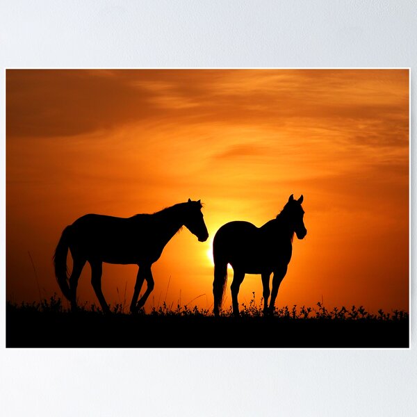 Item preview, Country Sunrise designed and sold by Annette Blattman.