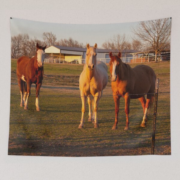Item preview, Horses saying hello~ designed and sold by KateJaxxon.