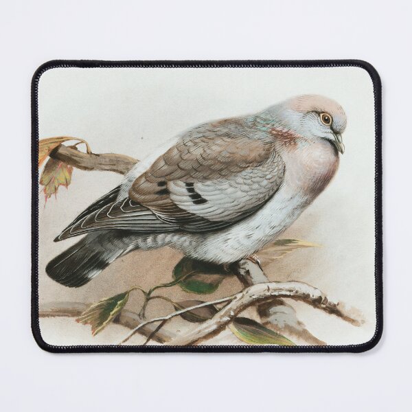 Item preview, Pigeon designed and sold by linggalibrary.