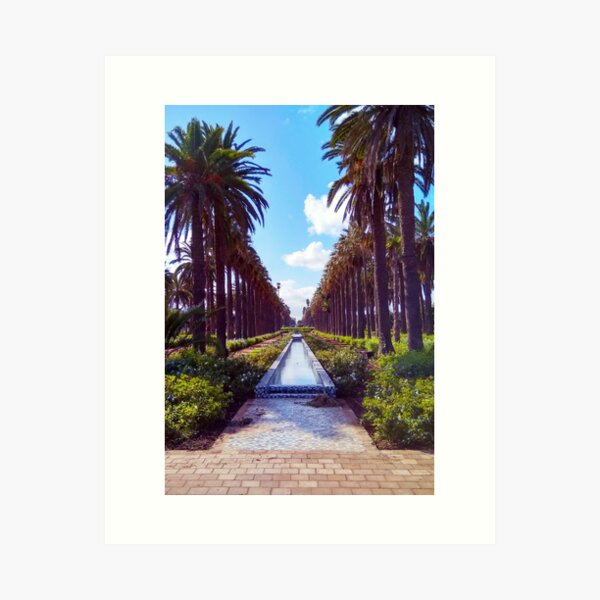 Item preview, casablanca public garden, morrocan park , palms garden designed and sold by benzy31.