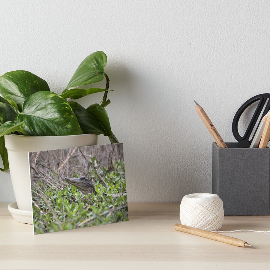 Item preview, Art Board Print designed and sold by RScaptor.