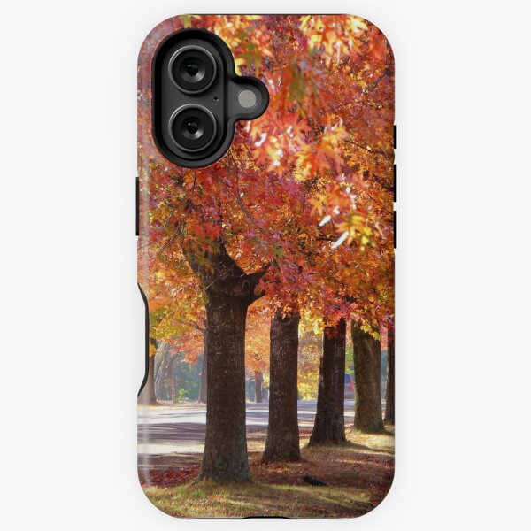 Item preview, Honour Avenue - the trees designed and sold by Susan Henry.