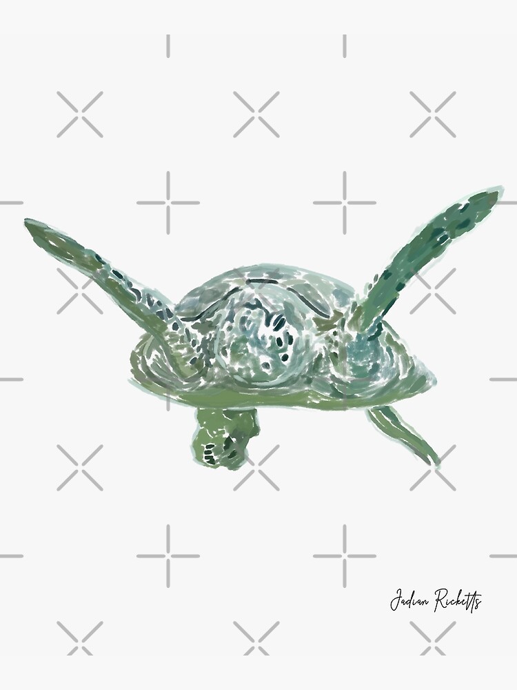 Home - Save the Turtles