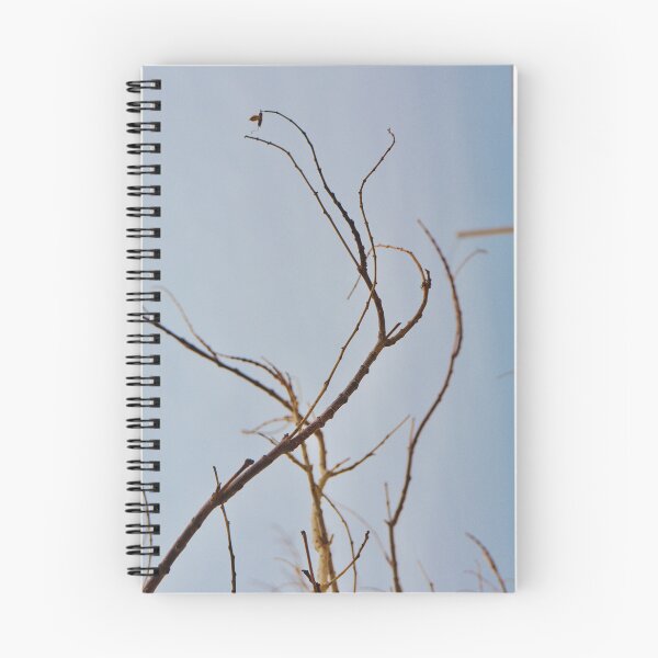 Item preview, Leafless Winter designed and sold by Siganlaa.