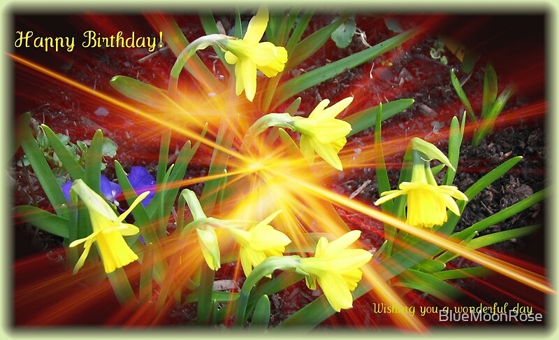 “Extra Terrestrial Daffodils Birthday Card” by BlueMoonRose | Redbubble