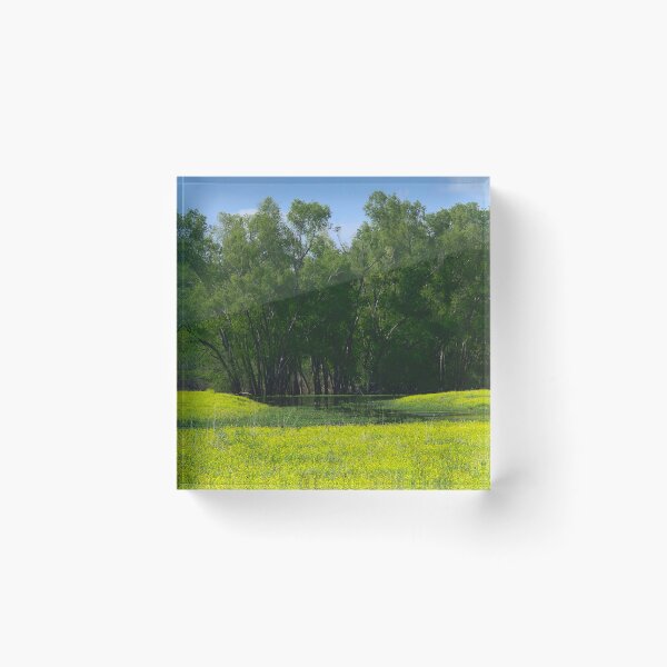 Item preview, Field and Marsh designed and sold by Ryan Stephens.