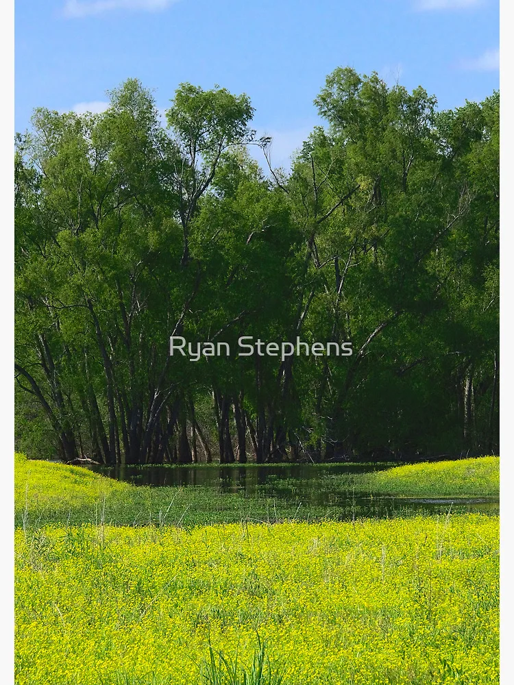 Thumbnail 3 of 3, Journal, Field and Marsh designed and sold by Ryan Stephens.