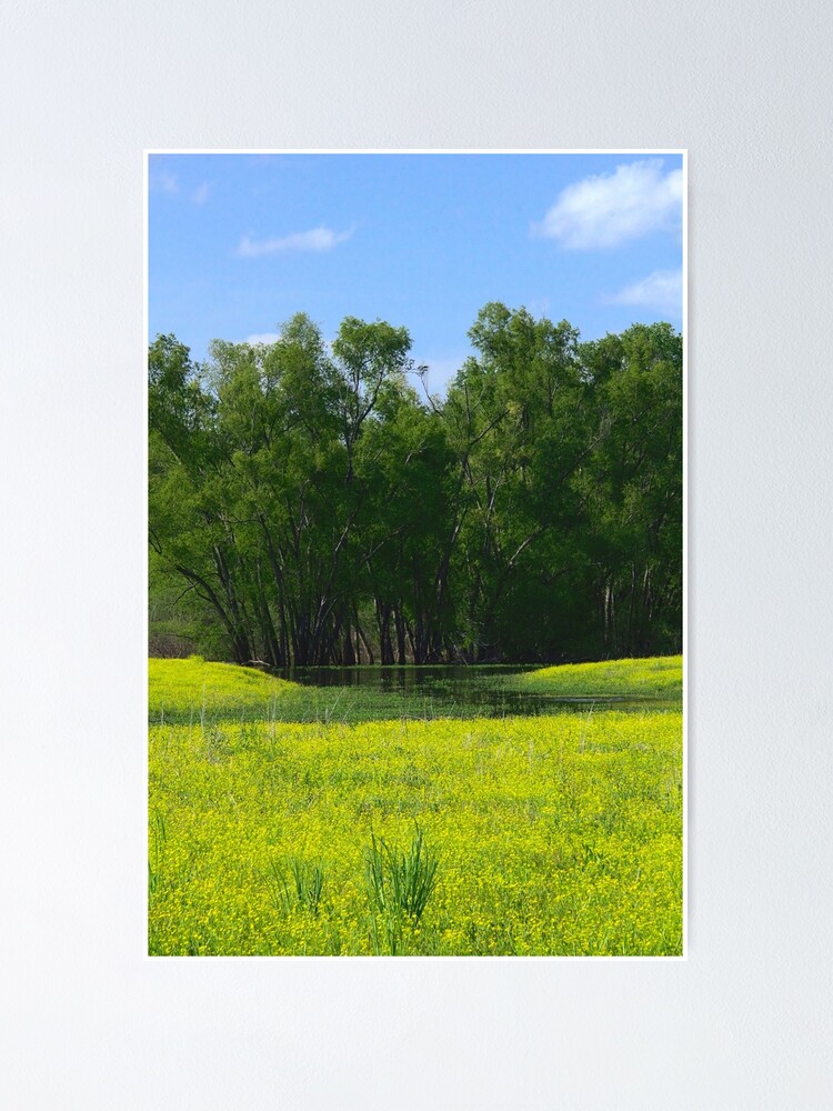 Thumbnail 1 of 3, Poster, Field and Marsh designed and sold by RScaptor.