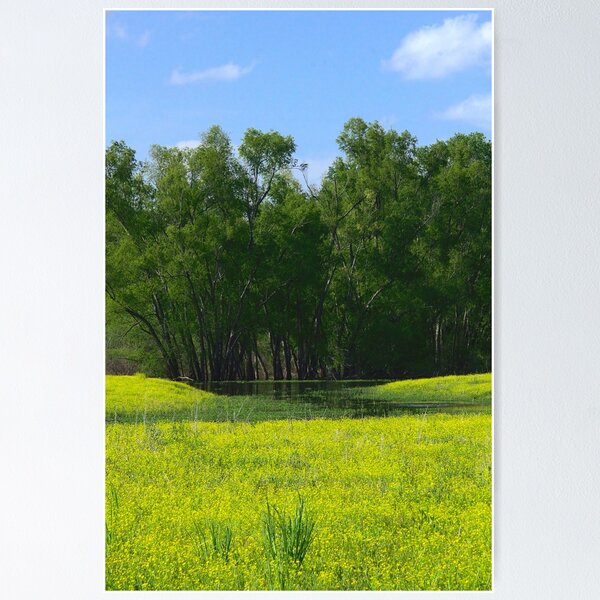 Item preview, Field and Marsh designed and sold by Ryan Stephens.