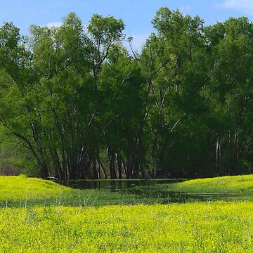 Artwork thumbnail, Field and Marsh by Ryan Stephens