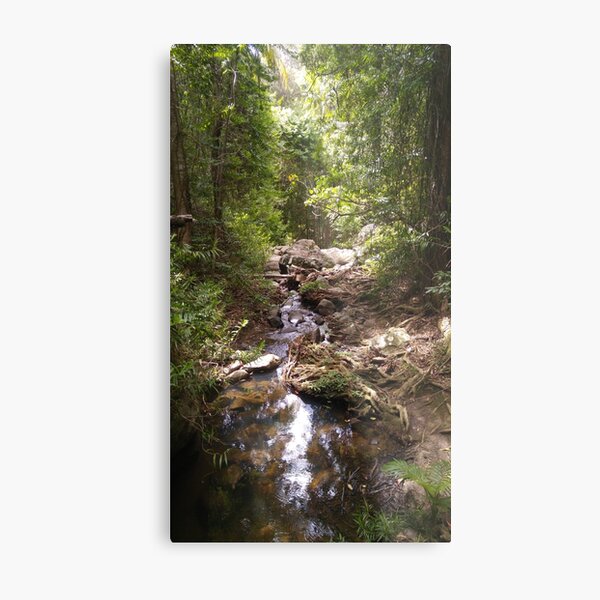Item preview, Buderim Forest Park Hidden Stream designed and sold by marzipan-pond.