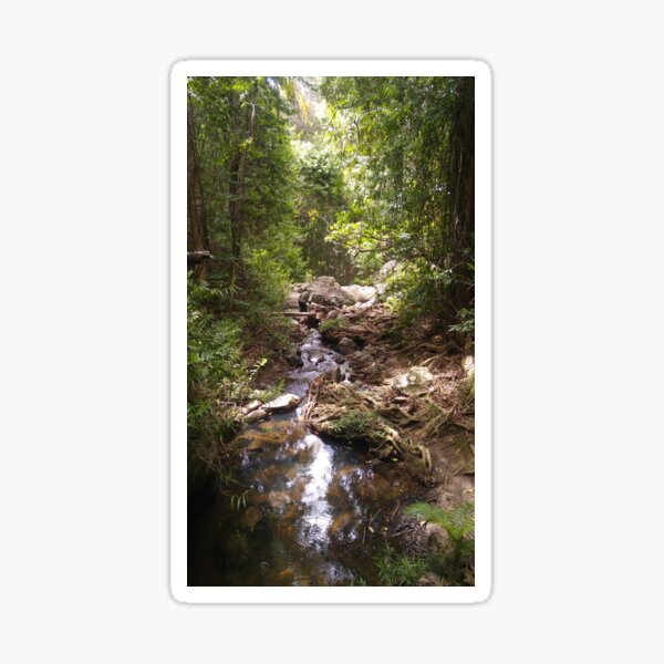 Item preview, Buderim Forest Park Hidden Stream designed and sold by marzipan-pond.