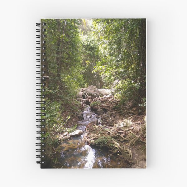 Item preview, Buderim Forest Park Hidden Stream designed and sold by marzipan-pond.