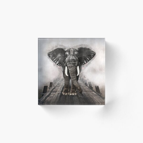 Elephant on walk Acrylic Block