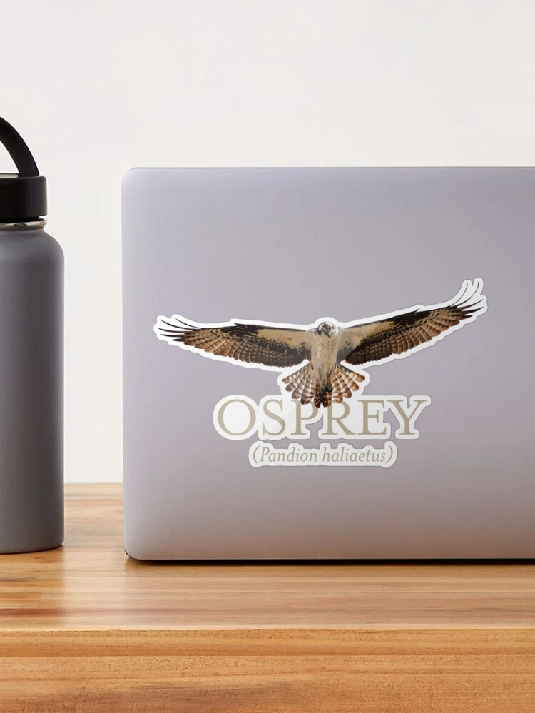Osprey (Fish Hawk) Sticker for Sale by Futurebeachbum