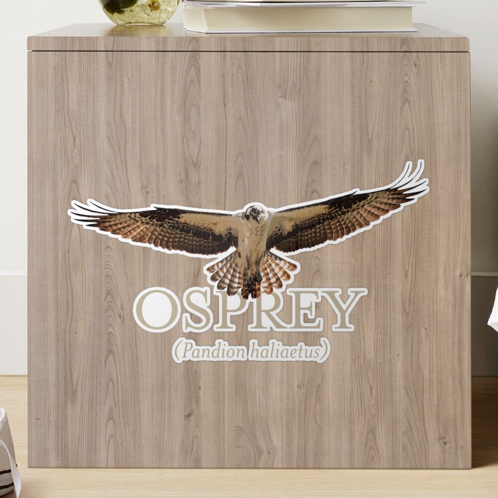 Osprey (Fish Hawk) Sticker for Sale by Futurebeachbum