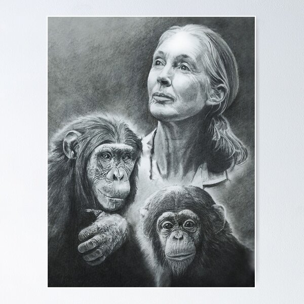 Item preview, WE ARE FAMILY JANE GOODALL BW designed and sold by emilysigerr.