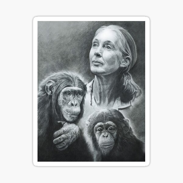 Item preview, WE ARE FAMILY JANE GOODALL BW designed and sold by emilysigerr.