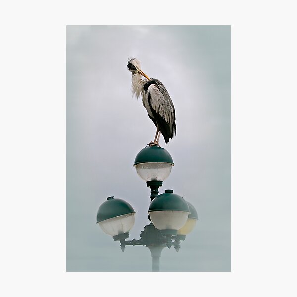 Artikelvorschau, standing tall entworfen und verkauft von kathywaldron.