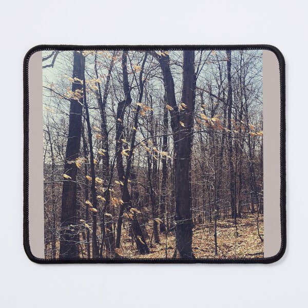 Item preview, Mountain beeches designed and sold by Hezailes.