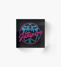 Black Mirror San Junipero NEON Acrylic Block