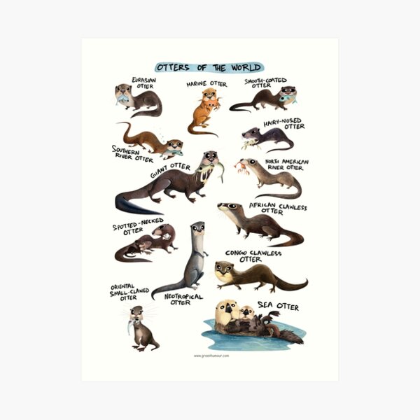 Otters of the World Art Print