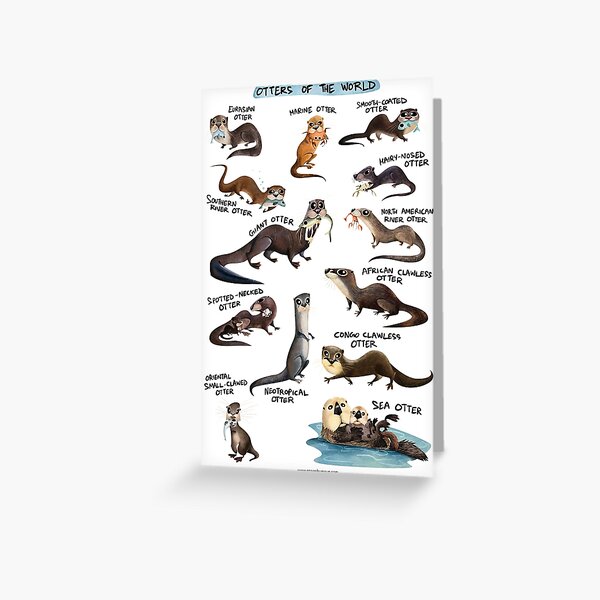 Otters of the World Greeting Card