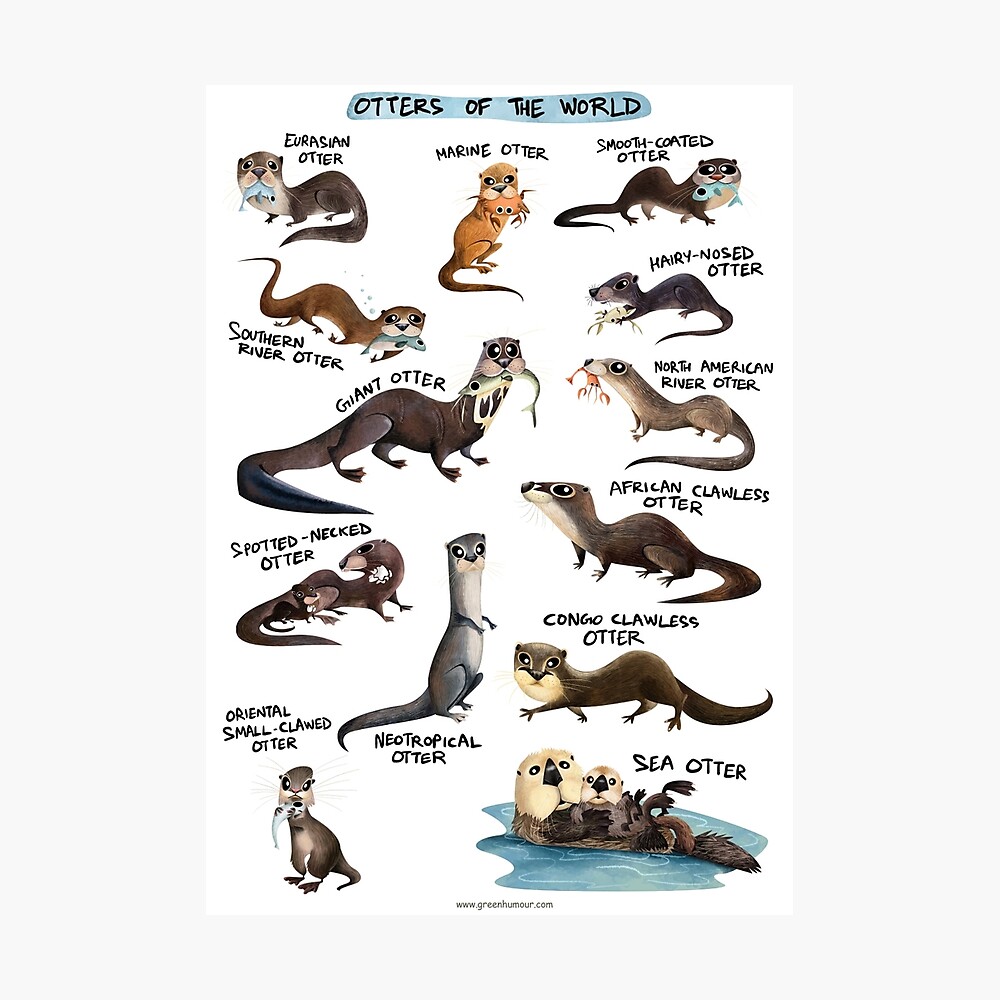 Size Guide  Otter Things