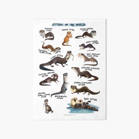Item preview, Otters of the World designed and sold by Green Humour.