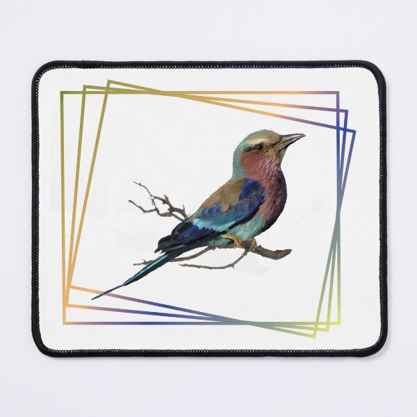 Item preview, Fork Roller a bird in Kenya/ Africa - ornithologist designed and sold by TShirtsundMehr.