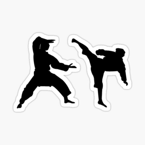 Sticker Decal Hilarious Instructor Martial Arts Karate Judo Patriotic –  Teegarb