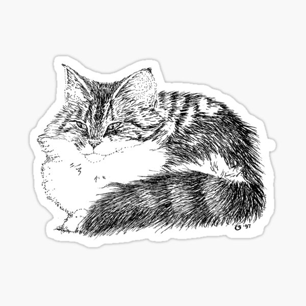Maine Coon Cat Sticker